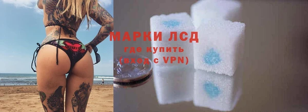 эйфоретик Вяземский