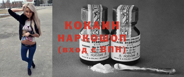 эйфоретик Вяземский