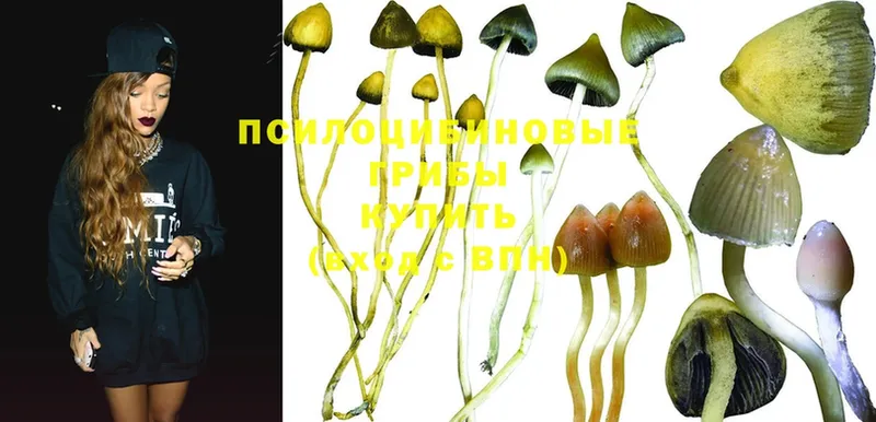 где купить   Давлеканово  Галлюциногенные грибы Cubensis 